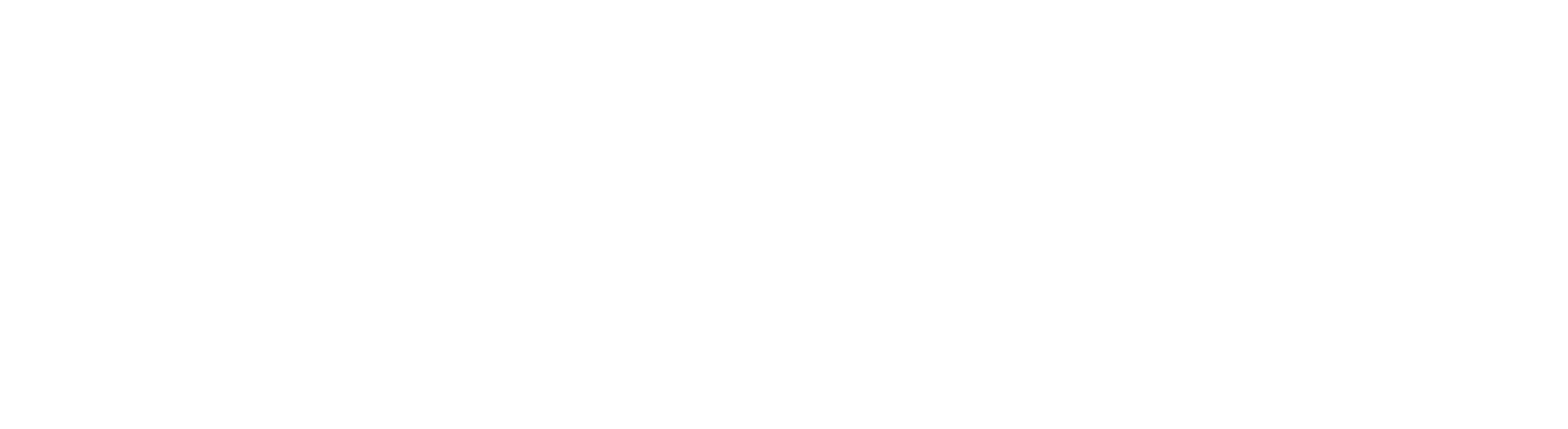 Pragmatic Business Solutions